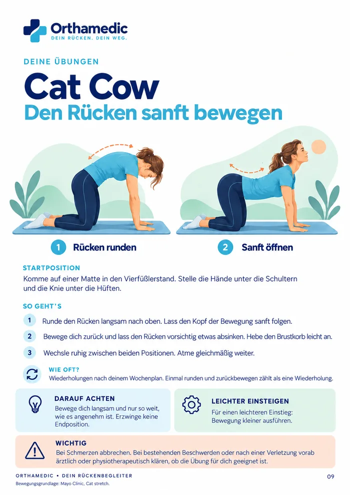 eBook-Seite: Übung Cat Cow, den Rücken sanft bewegen